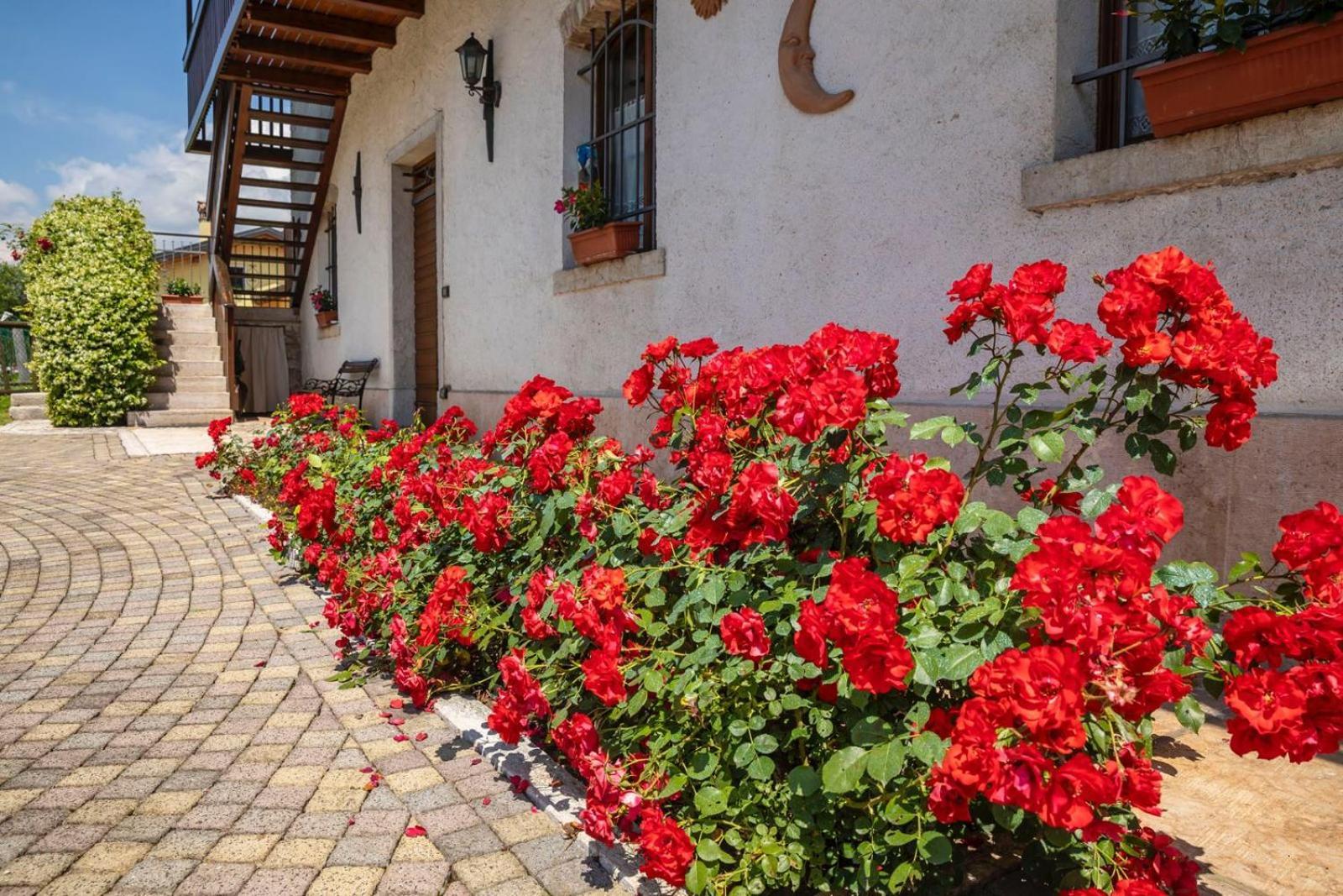 Casa Giovannella Feltre Bagian luar foto