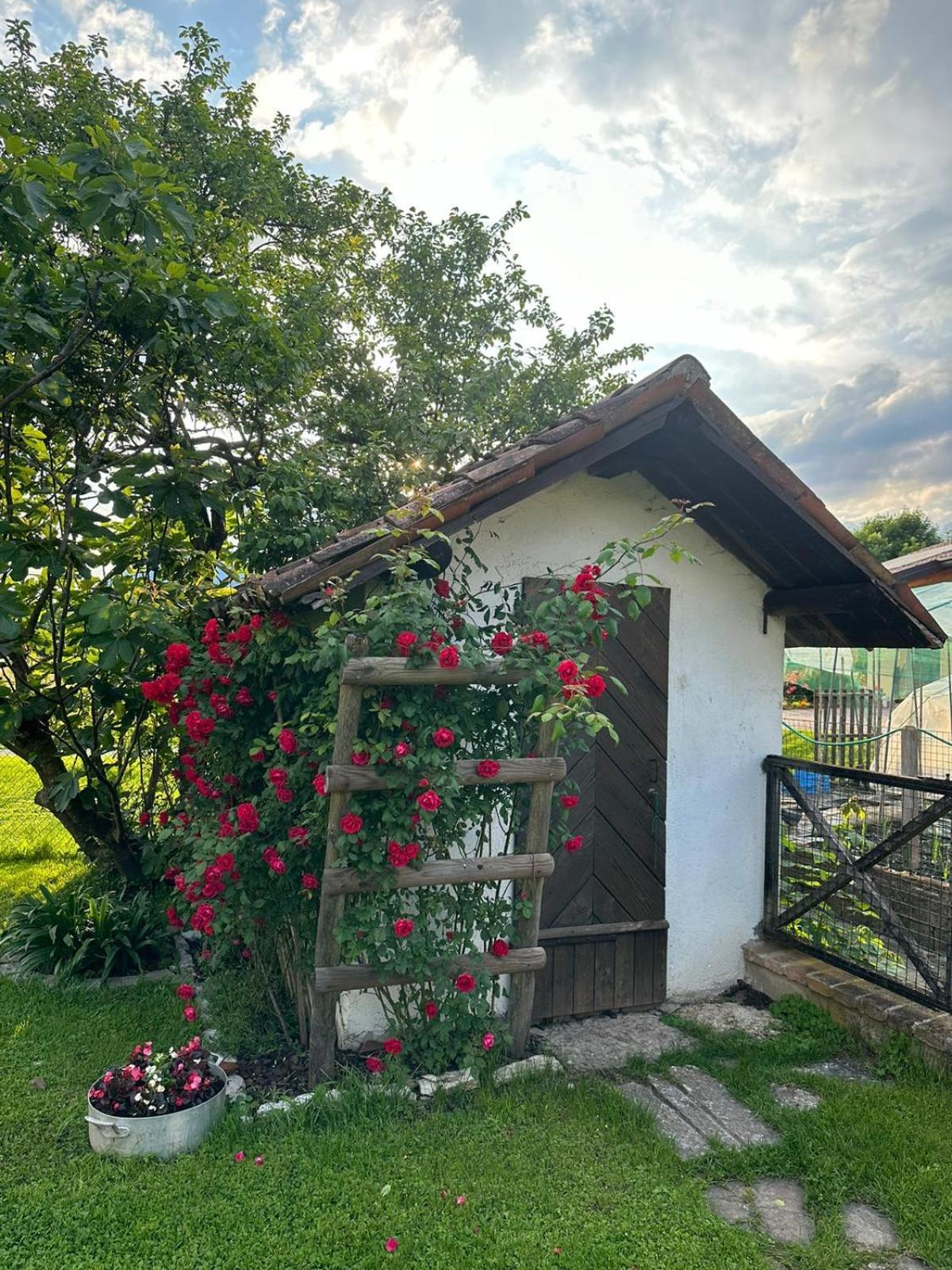Casa Giovannella Feltre Bagian luar foto